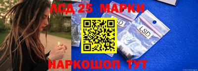 гидропоника Новодвинск