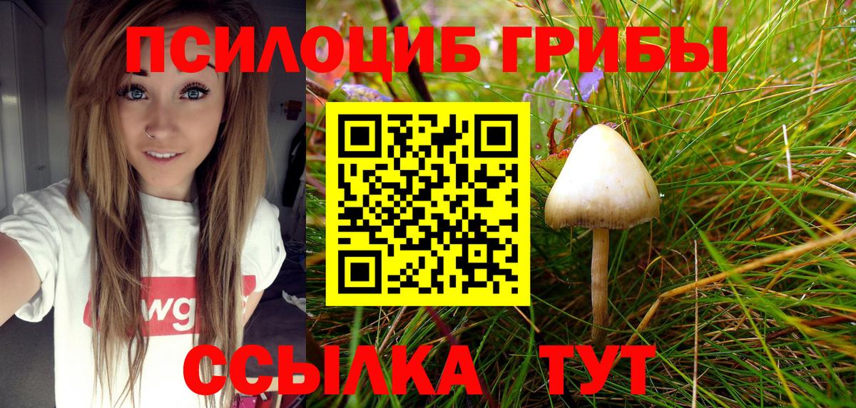 Галлюциногенные грибы MAGIC MUSHROOMS  наркошоп  Тамбов  Вход с VPN 
